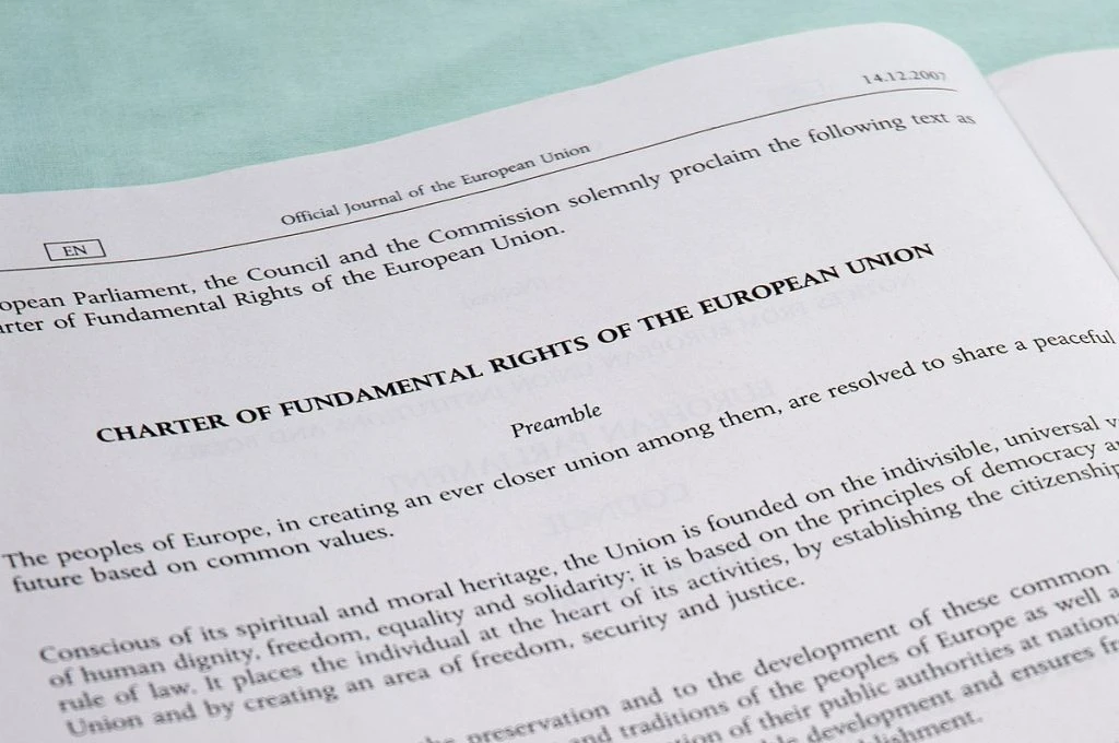 The EU’s power and their limits