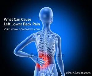 lower back